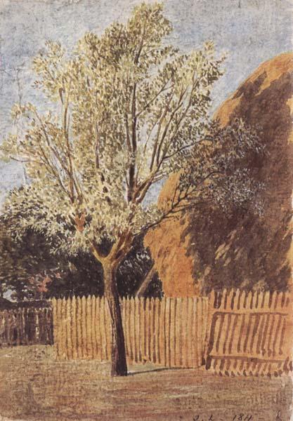 John linnell Study of a Tree Sweden oil painting art